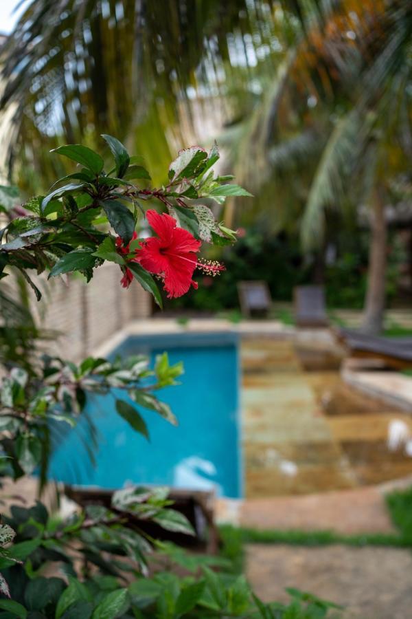 Casa Fufi Hotell Jijoca de Jericoacoara Eksteriør bilde